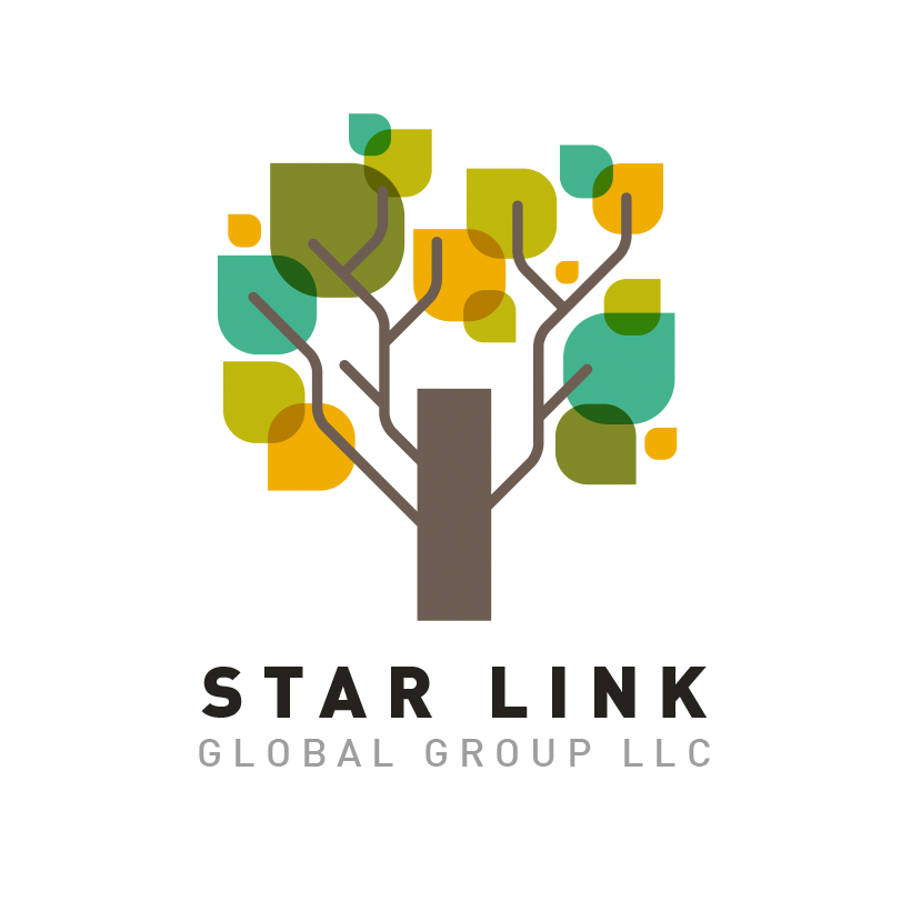 Starlink Global - Logo
